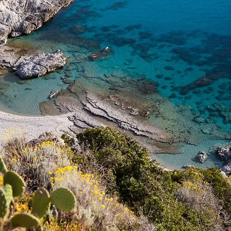 Calabrisella CALABRIA