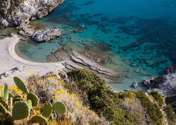 Calabrisella CALABRIA